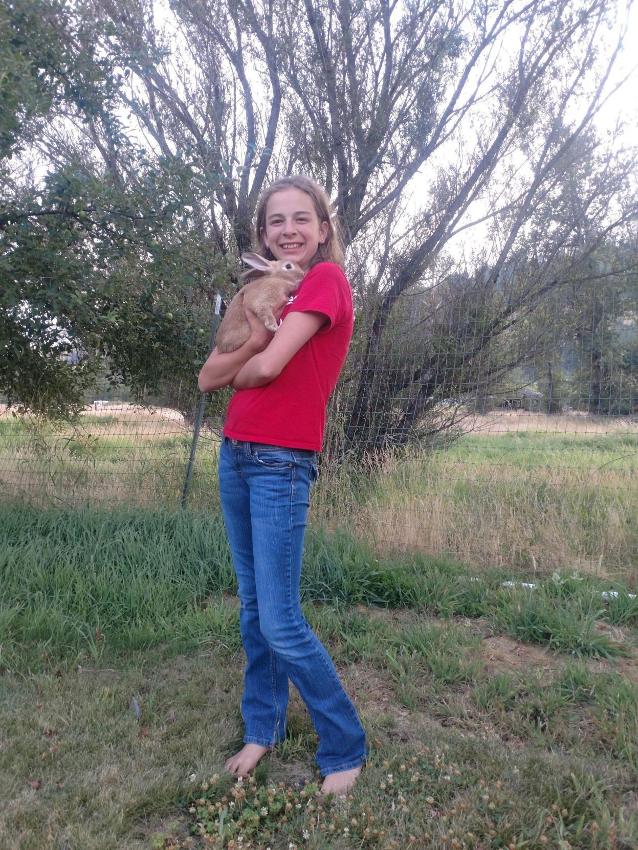 4-H